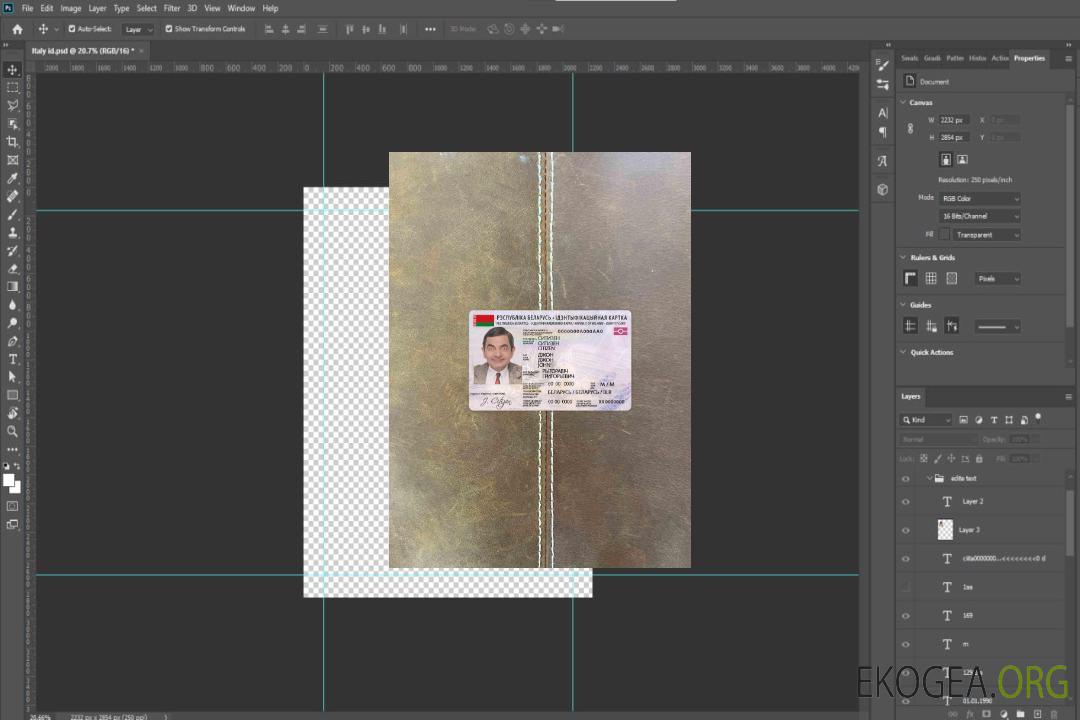 Photolook d'identité de Biélorussie AVANT template